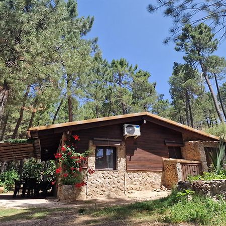 Cabana En Plena Naturaleza Parque Natural Rio Mundo Riópar 外观 照片
