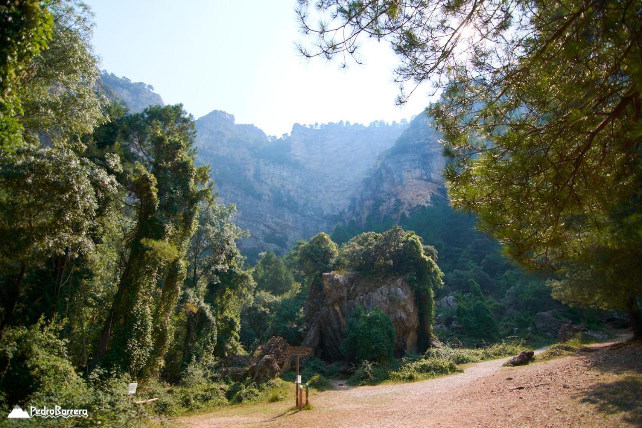 Cabana En Plena Naturaleza Parque Natural Rio Mundo Riópar 外观 照片