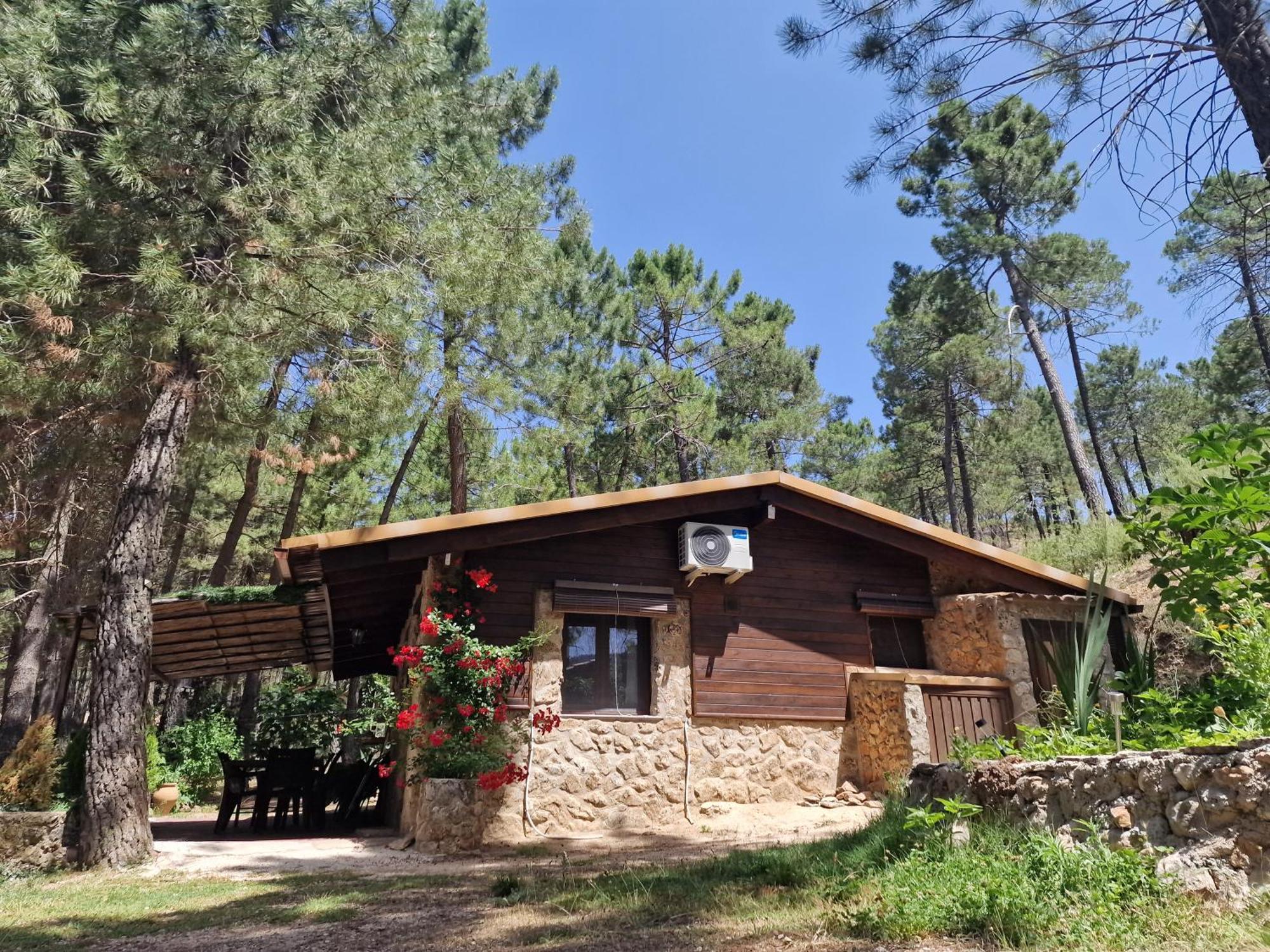 Cabana En Plena Naturaleza Parque Natural Rio Mundo Riópar 外观 照片