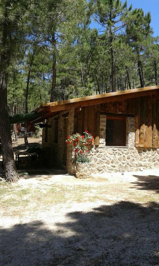 Cabana En Plena Naturaleza Parque Natural Rio Mundo Riópar 外观 照片