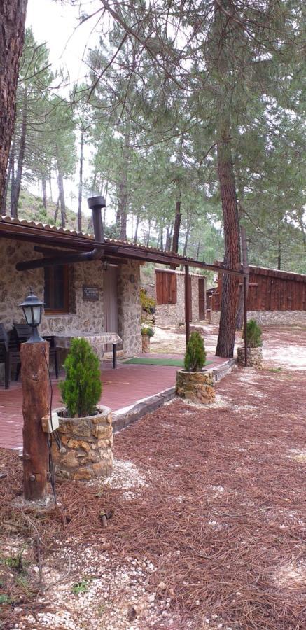 Cabana En Plena Naturaleza Parque Natural Rio Mundo Riópar 外观 照片